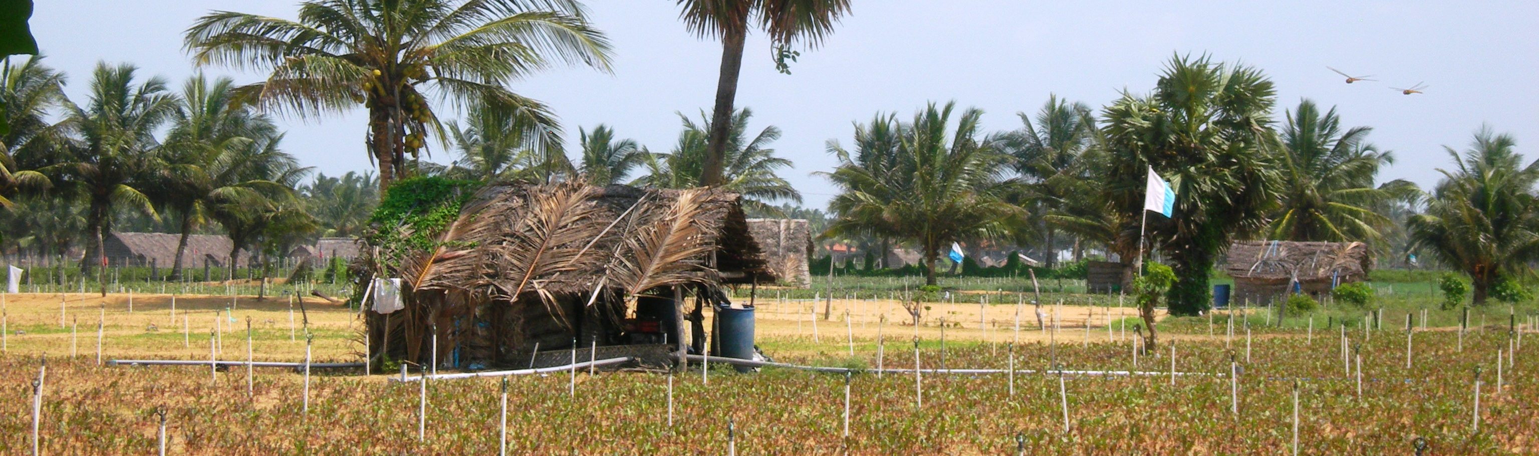 Social Dimension of Water Resource Management in Sri Lanka – Part 3