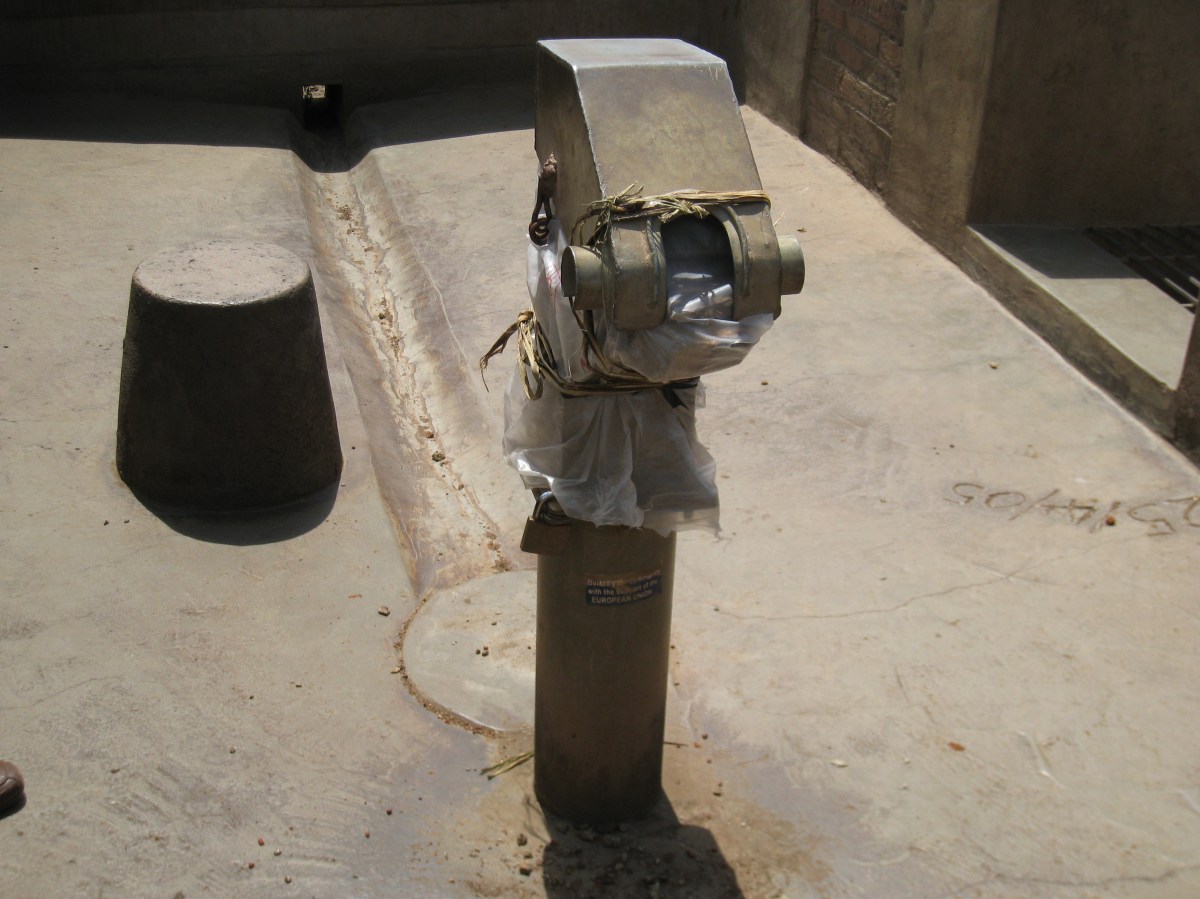 Still barking up the wrong tree?  Community management: more problem than&nbsp;solution