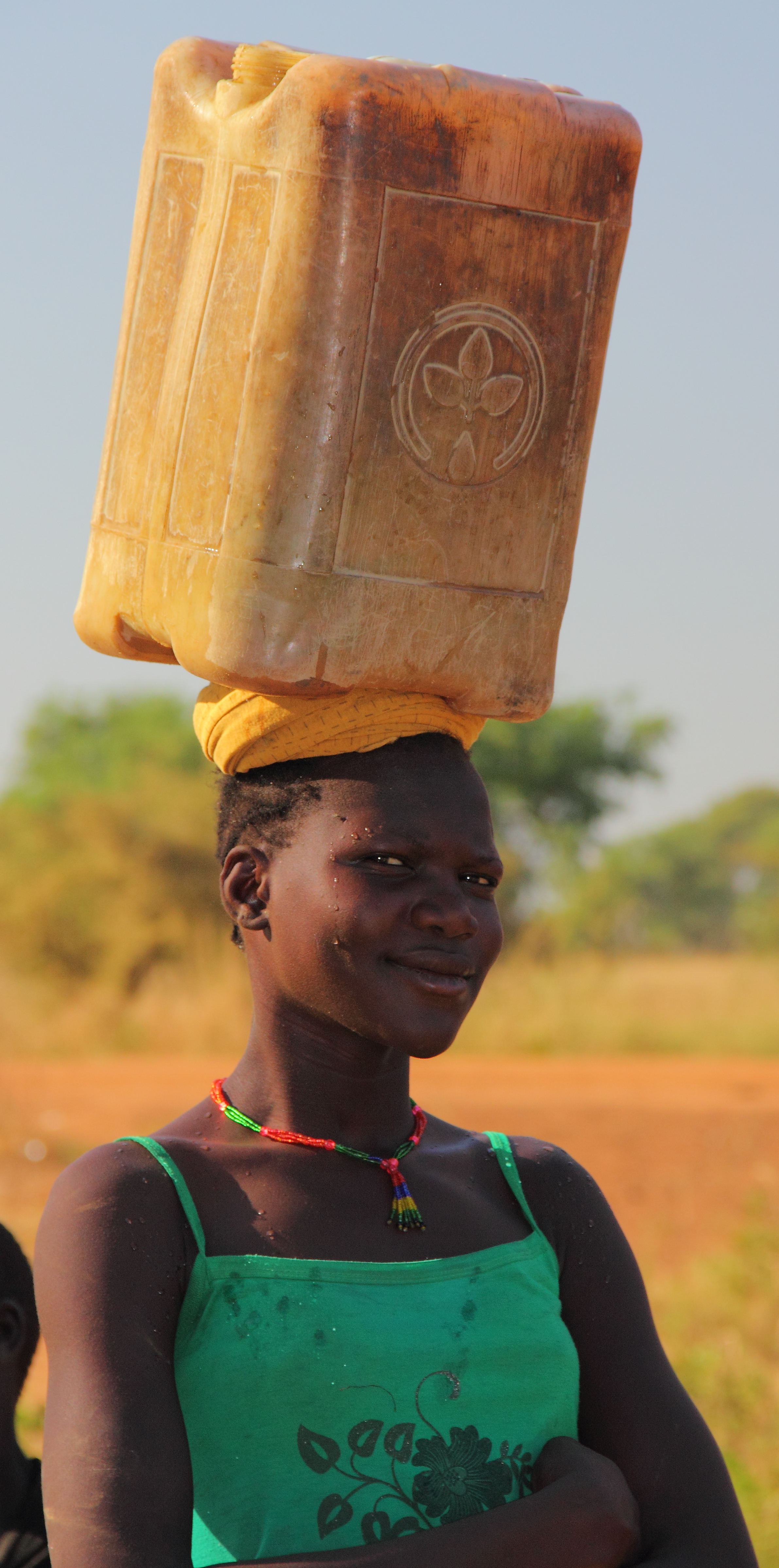 Just how much do countries rely on groundwater point sources for their drinking water?