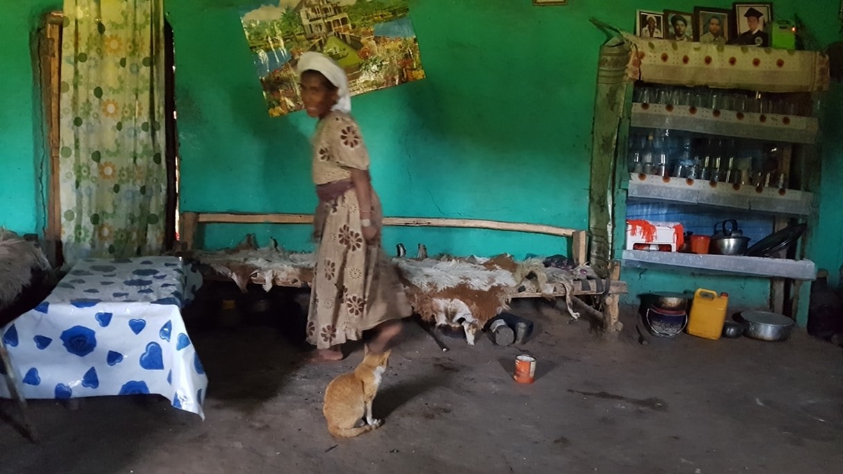 Rats! Village level ecological-based rodent management