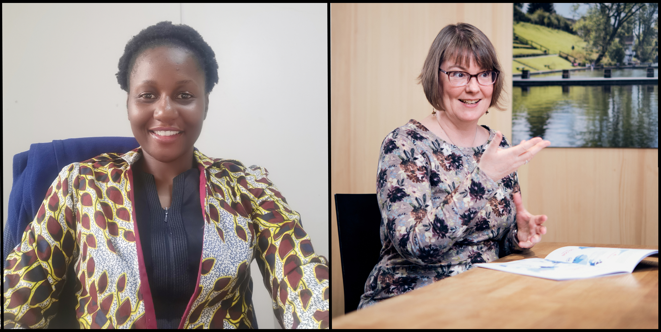 A Mentoring journey, by Fadzai T. Munodawafa and Kerstin Danert