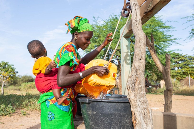 Lessons from the RWSN&nbsp;webinars